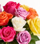 One Dozen of Assorted Roses
