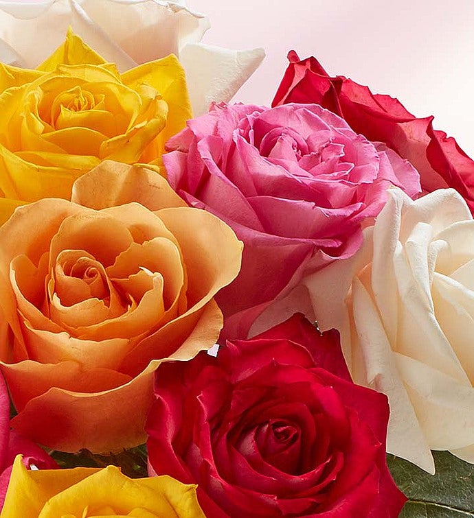 Congratulations Assorted Roses, 12-24 Stems