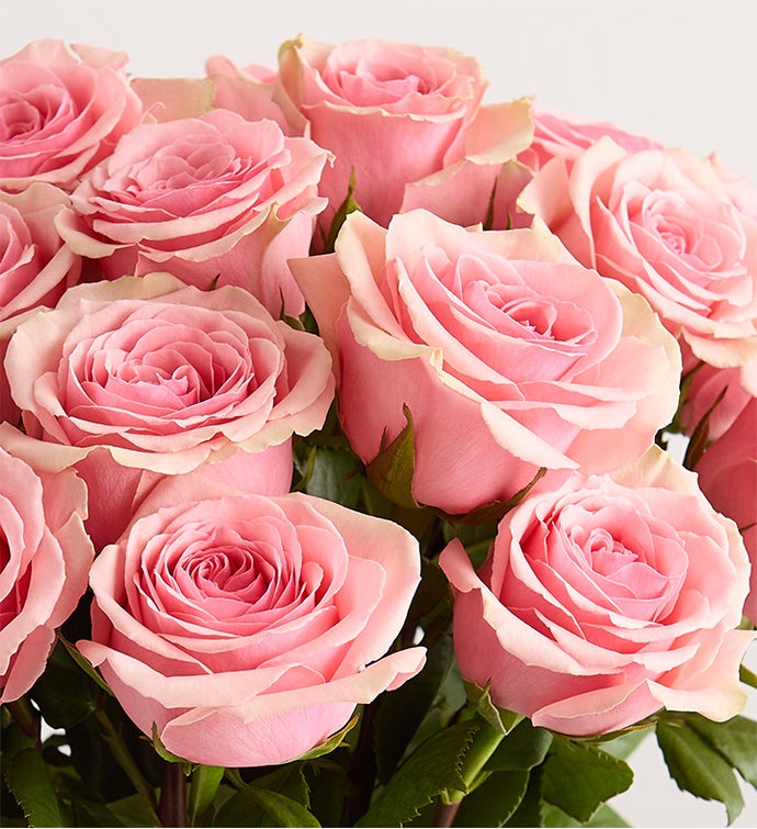 Pink Petal Roses