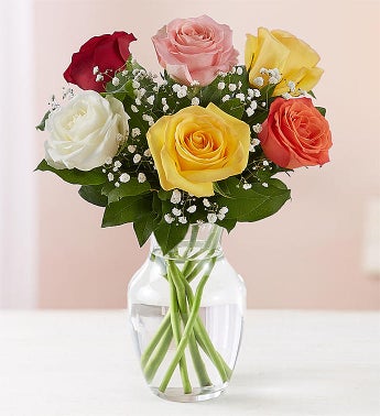 Loves Embrace Assorted Roses