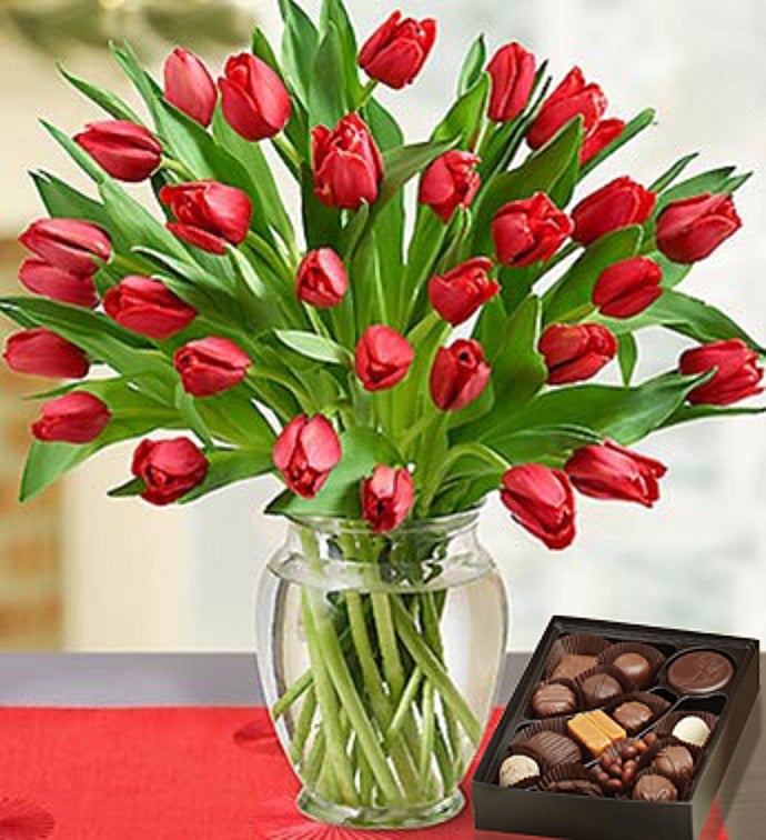 Tulips for your Love