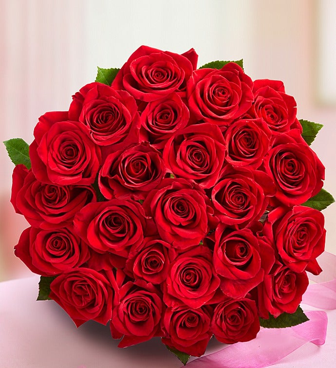 Elegant Two Dozen Red Roses