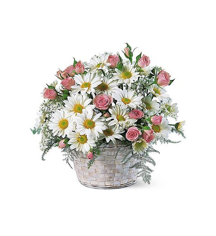 Basket of White Daisies and Little Pink Roses