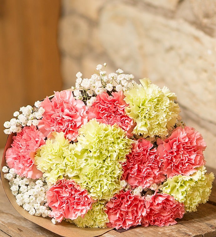 Carnation Delight