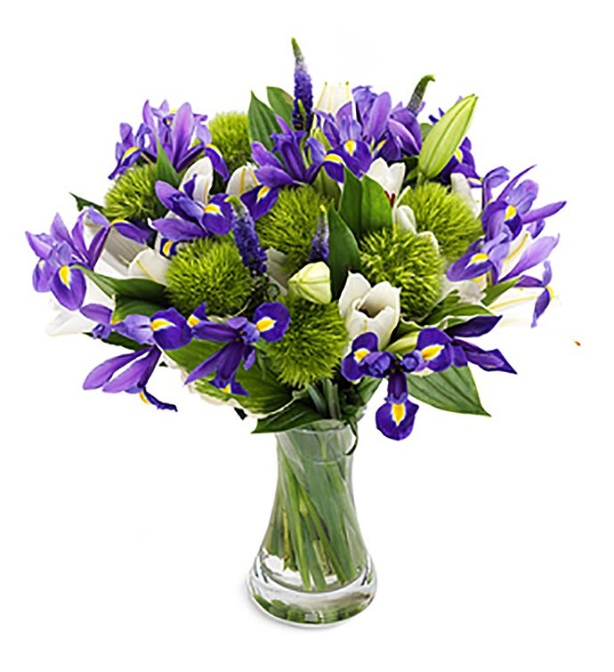 For Him - Florist’s Choice