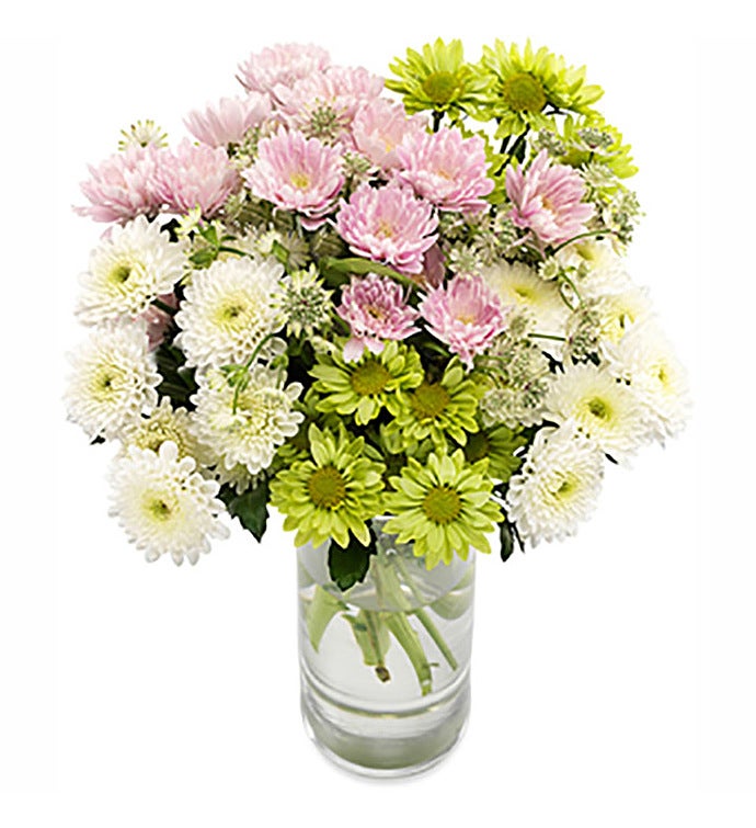 Classy Chrysanthemums