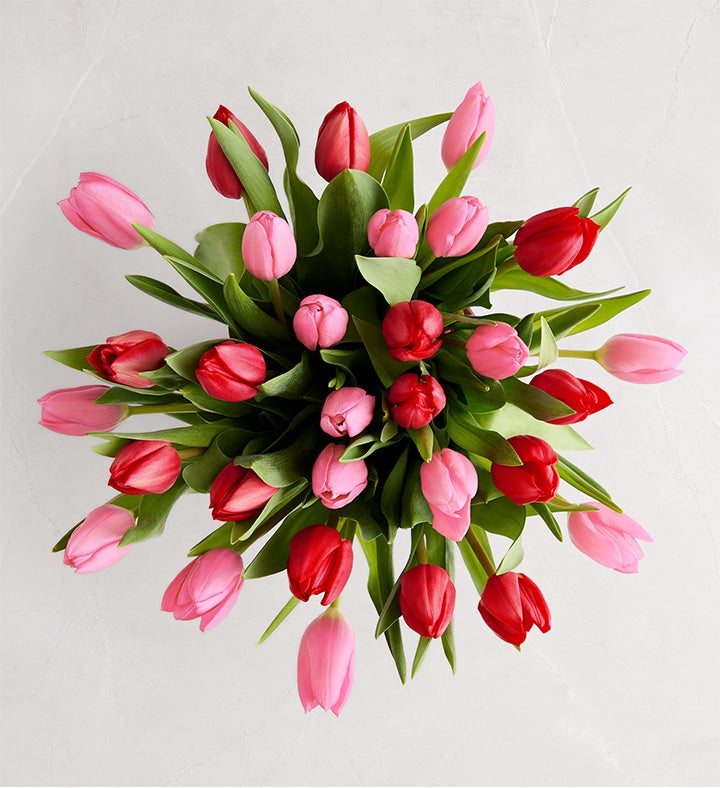 Sweetest Love Tulips