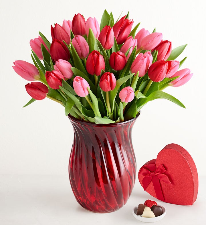 Sweetest Love Tulips
