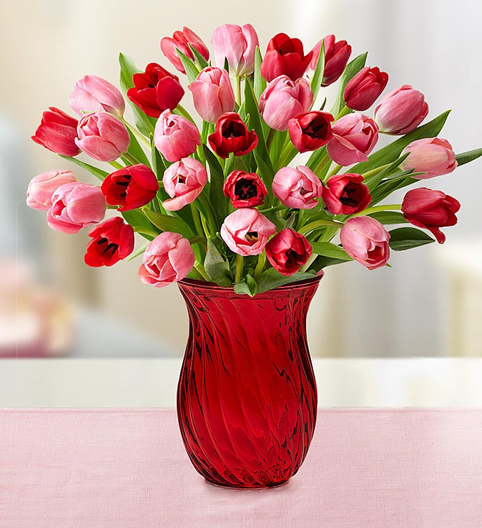 Sweetest Love Tulips