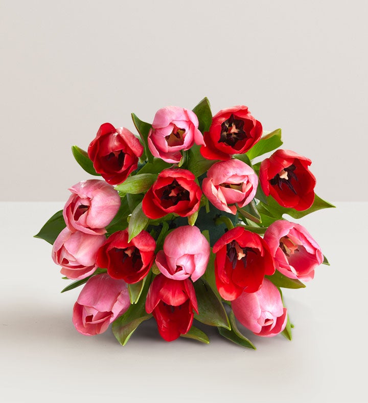 15 Stems Valentine’s Day Tulips