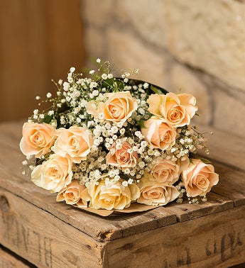 Cream Roses