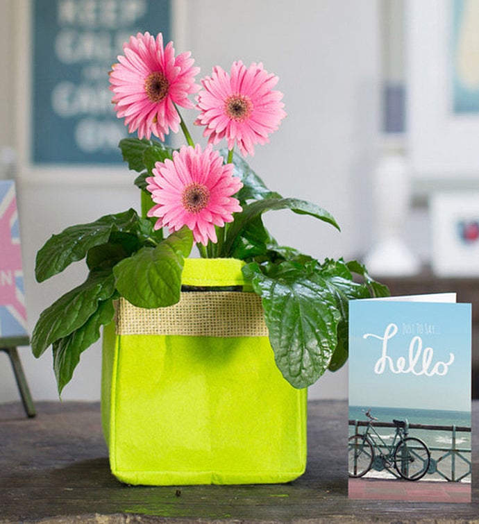 UK Flowers & Gifts UK Flower Delivery