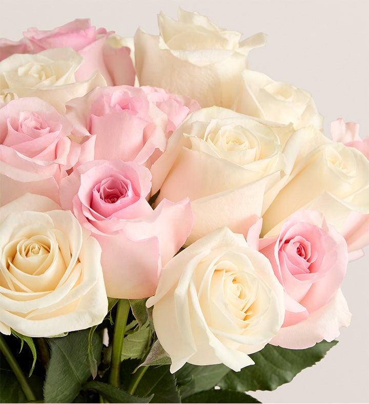 Lovely Mom Roses