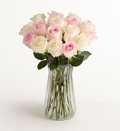 May Rose of the Month, Pink & White