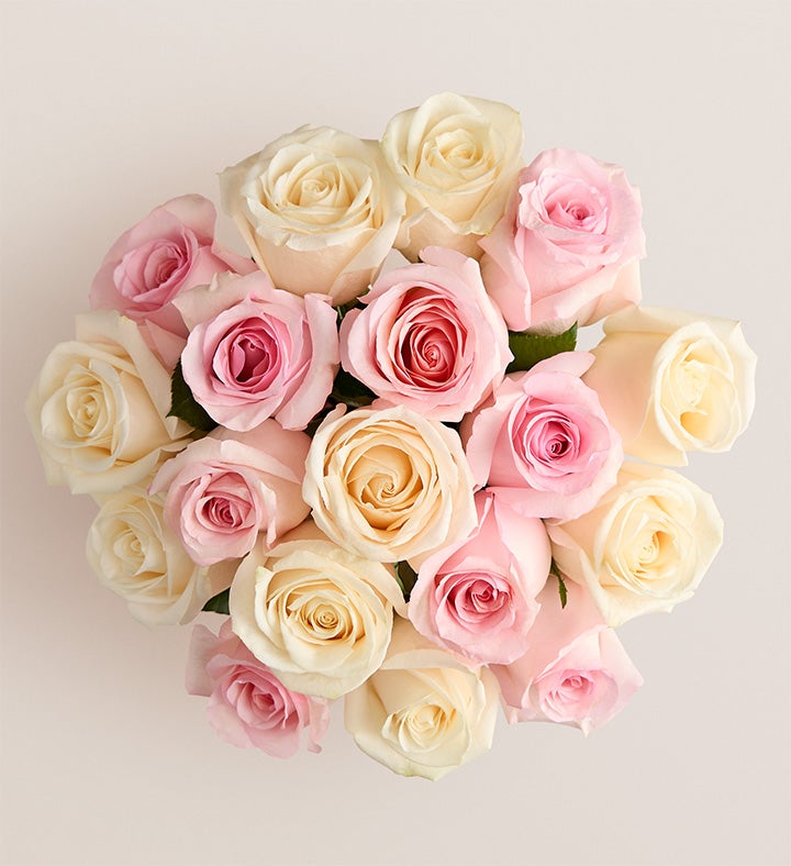 Lovely Mom Roses