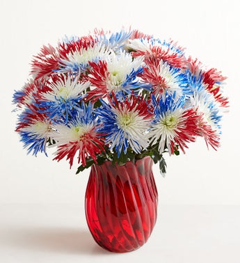 Firecracker Mums