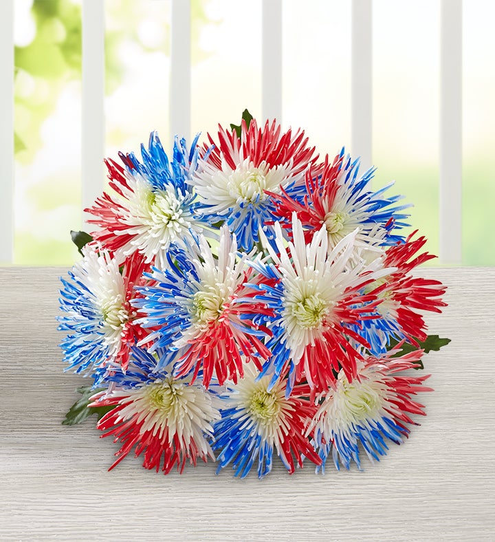 Firecracker Mums