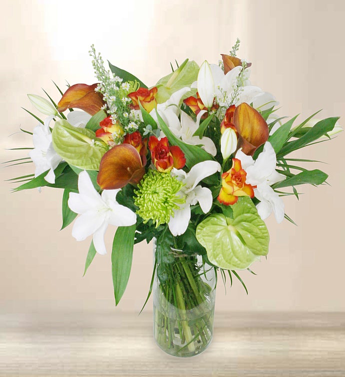 Premium Orange & White Flowers