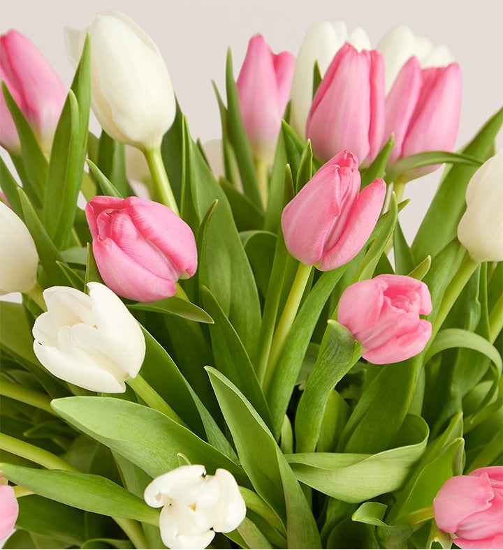 Sweet Spring Tulip Bouquet