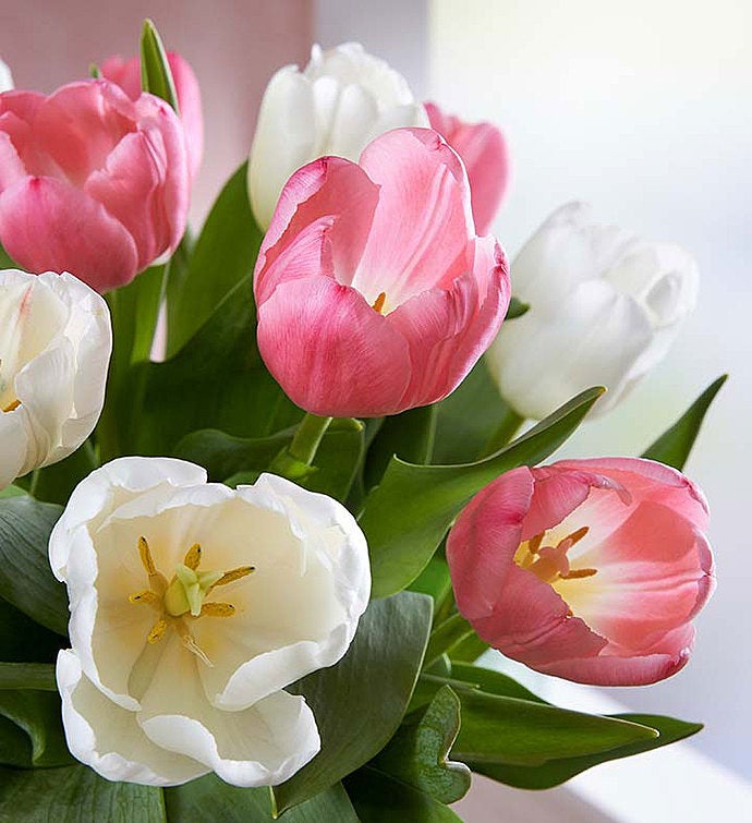 Sweet Spring Tulip Bouquet