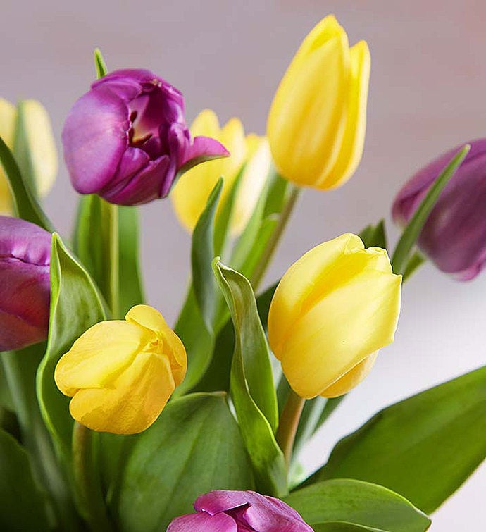 Spring Passion Tulip Bouquet