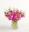 Sympathy Orchids