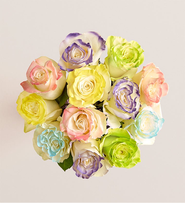 Easter Egg Roses