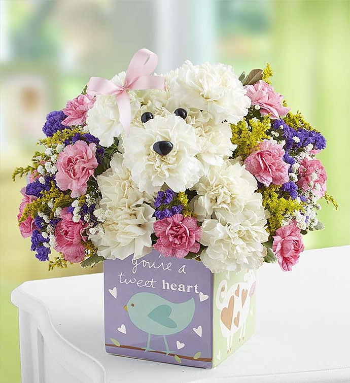 It’s a-DOG-able™ Girl or Boy