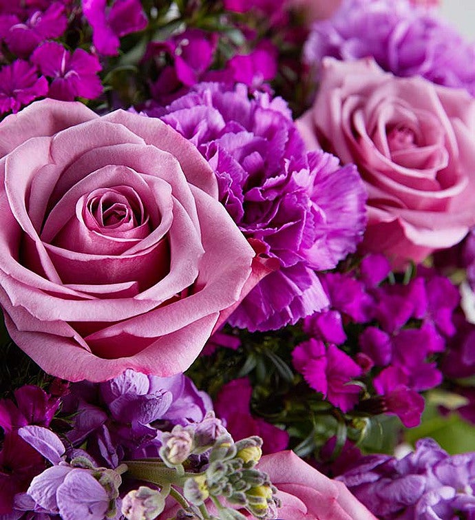 Shades of Purple™ | 1800Flowers.com - 147195