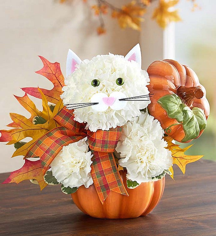 Fabulous Feline™ for Fall