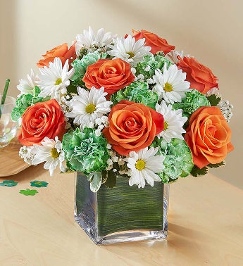 St. Patrick's Day Flowers, Plants & Gifts | 1800Flowers