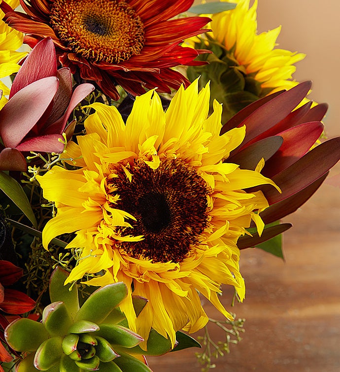 Sunflower Succulent Bouquet by Real Simple® | 1800Flowers.com - 148346