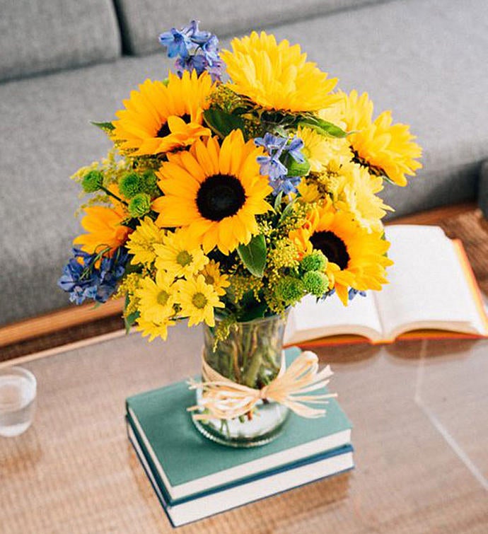 148682_foe_summer_alt