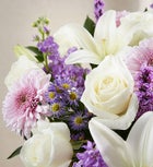 Sincerest Sorrow™ Lavender & White