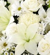 Heartfelt Sympathies White Funeral Standing Basket