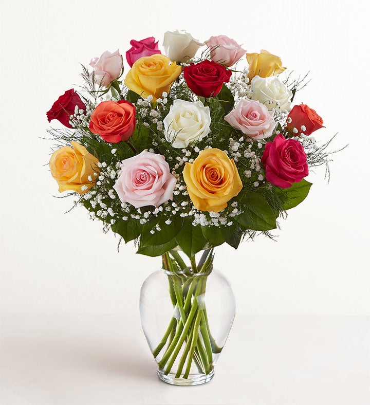 rose様 エンハンシングビバシティ レフィル 2本セット Rose Elegance™ Premium Long Stem Assorted Roses | 1800Flowers.com