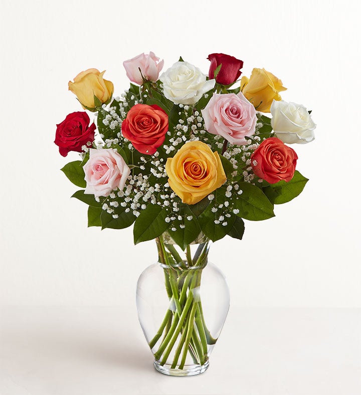 Rose Elegance™ Premium Long Stem Assorted Roses