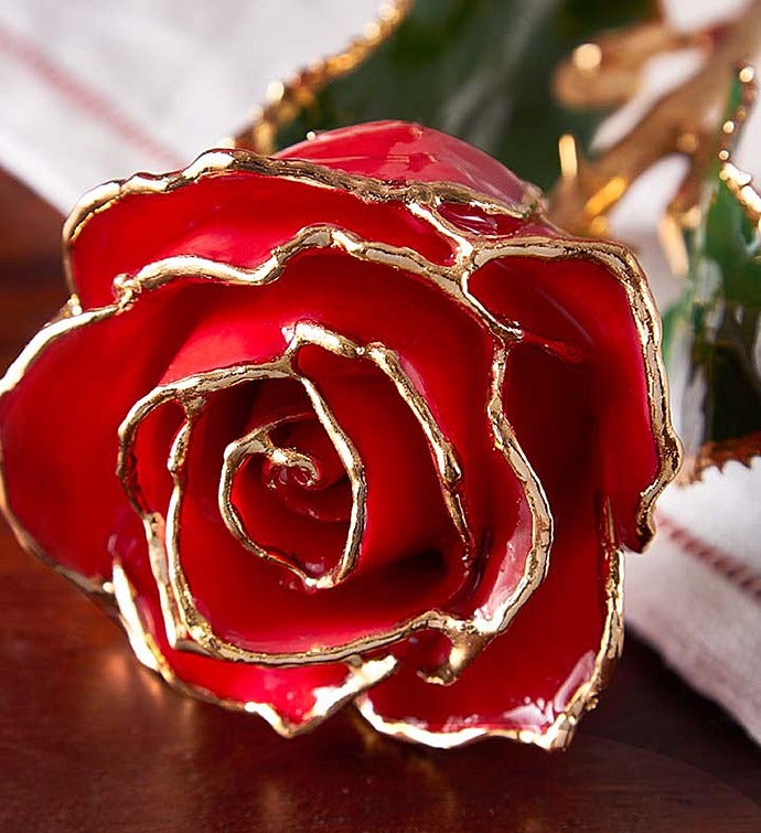 24k-rose-gold-dipped-rose-a-real-rose-preserved-in-gold