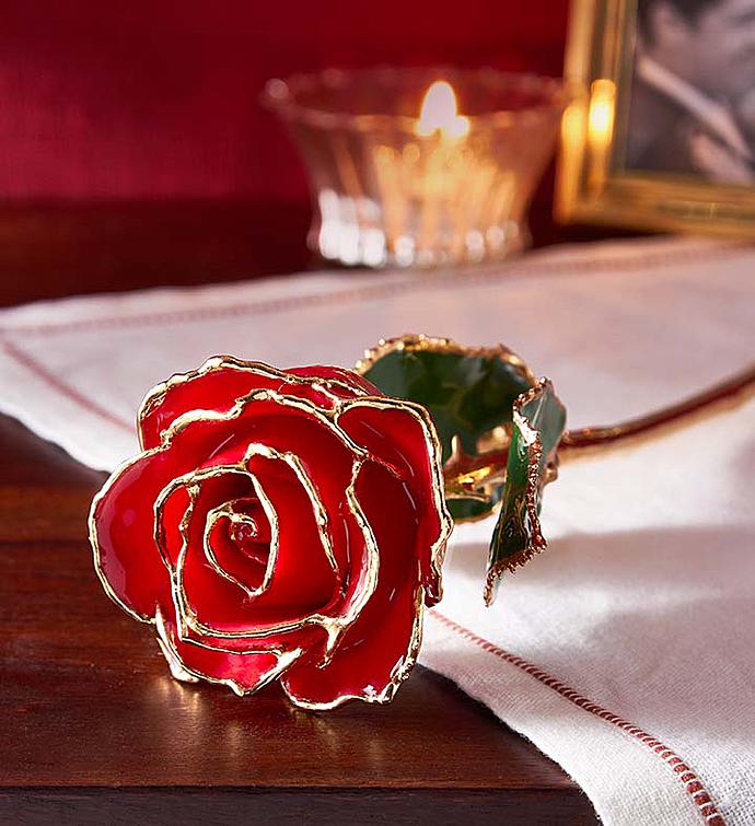 Enchanting 24K Gold Dipped Rose