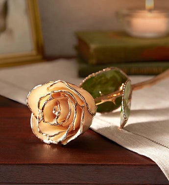 24K Gold Rose for Sympathy
