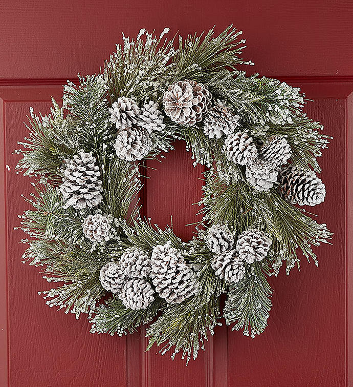 Frosted Winter White Wreath   24"