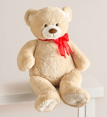 Lotsa Love Big Bear for Kids