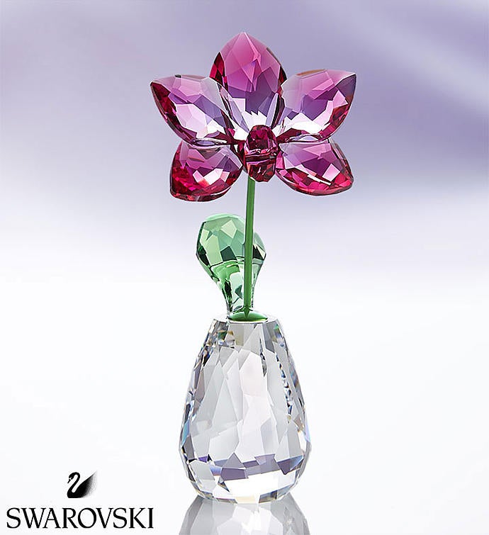 New Gift Arrivals | 1-800-FLOWERS.COM