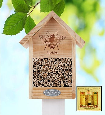 Bee House  Naked Bee Spa Kit