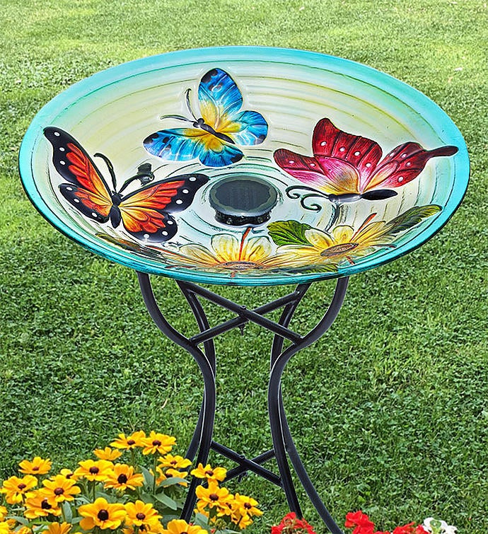 Solar Butterfly Birdbath