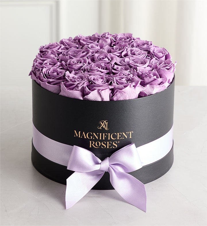 Magnificent Roses® Preserved Lavender Roses