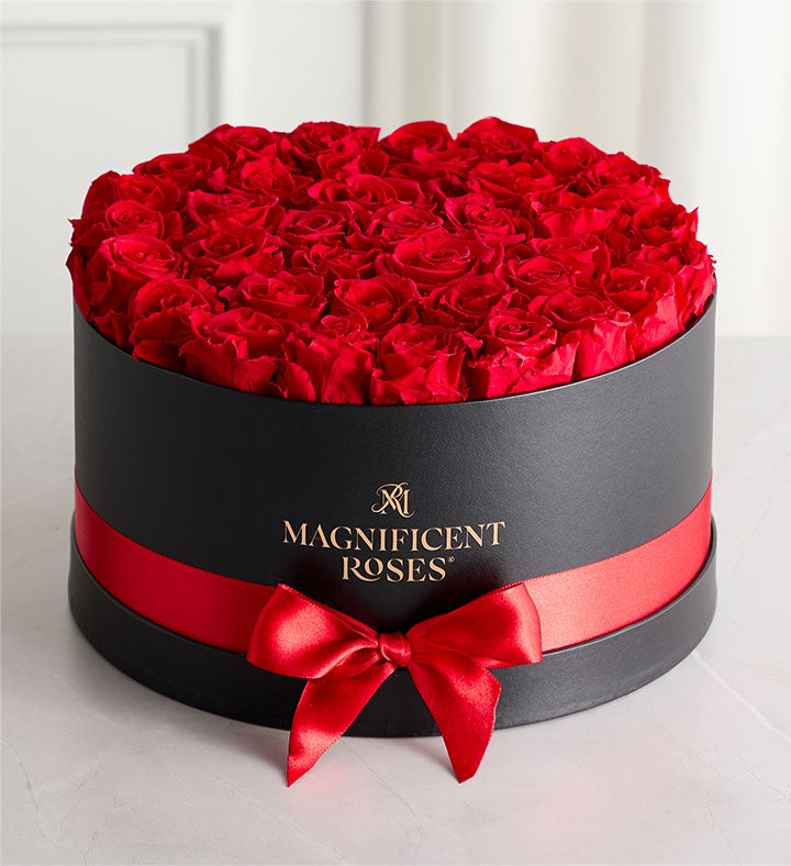 Magnificent Roses® Preserved Roses