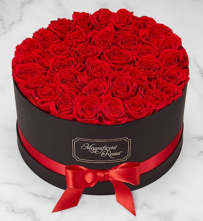 Magnificent Roses® Preserved Roses