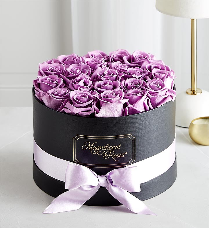 Magnificent Roses® Preserved Lavender Roses