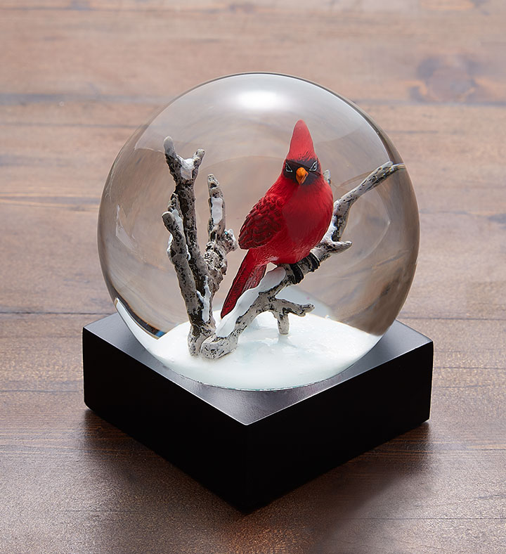 Cardinal Snow Globe by CoolSnowGlobes